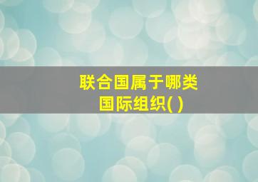 联合国属于哪类国际组织( )